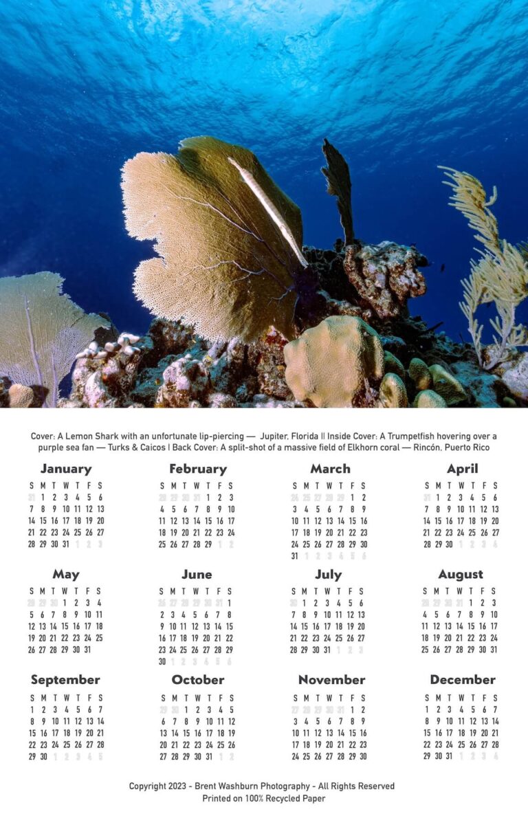 Calendar2