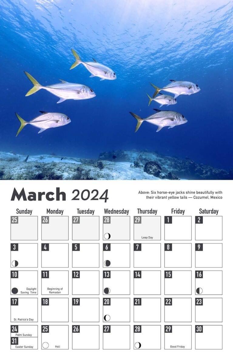 Calendar5